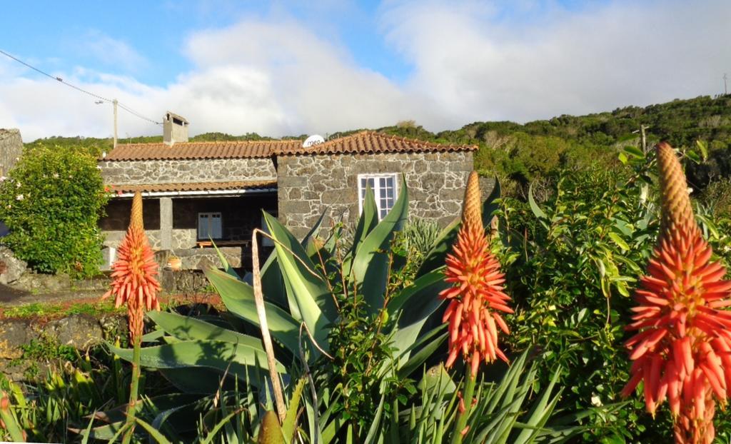 Casa Do Bernardo Βίλα Feiteira Εξωτερικό φωτογραφία